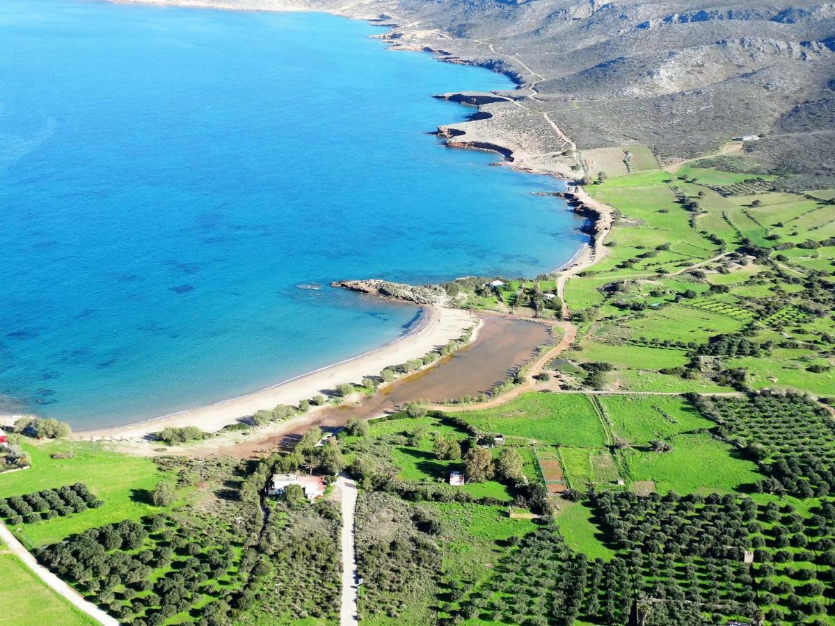 Hiona Cottage Palekastro Dış mekan fotoğraf